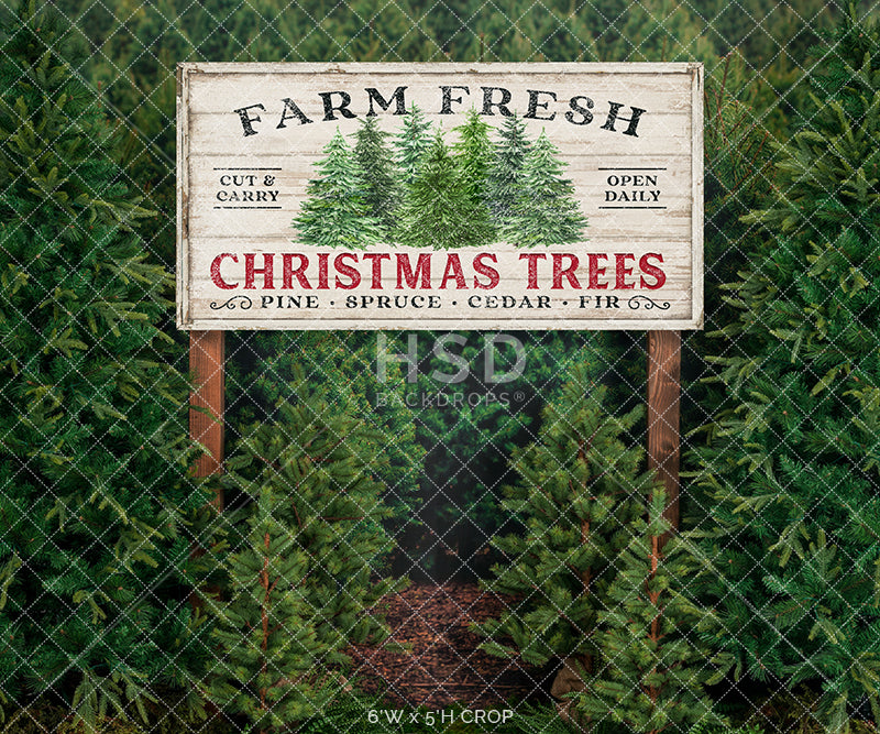 Farm Fresh Christmas Tree Farm Photo Backdrop Photography