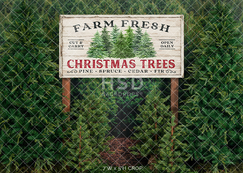 Farm Fresh Christmas Tree Farm Photo Backdrop Photography