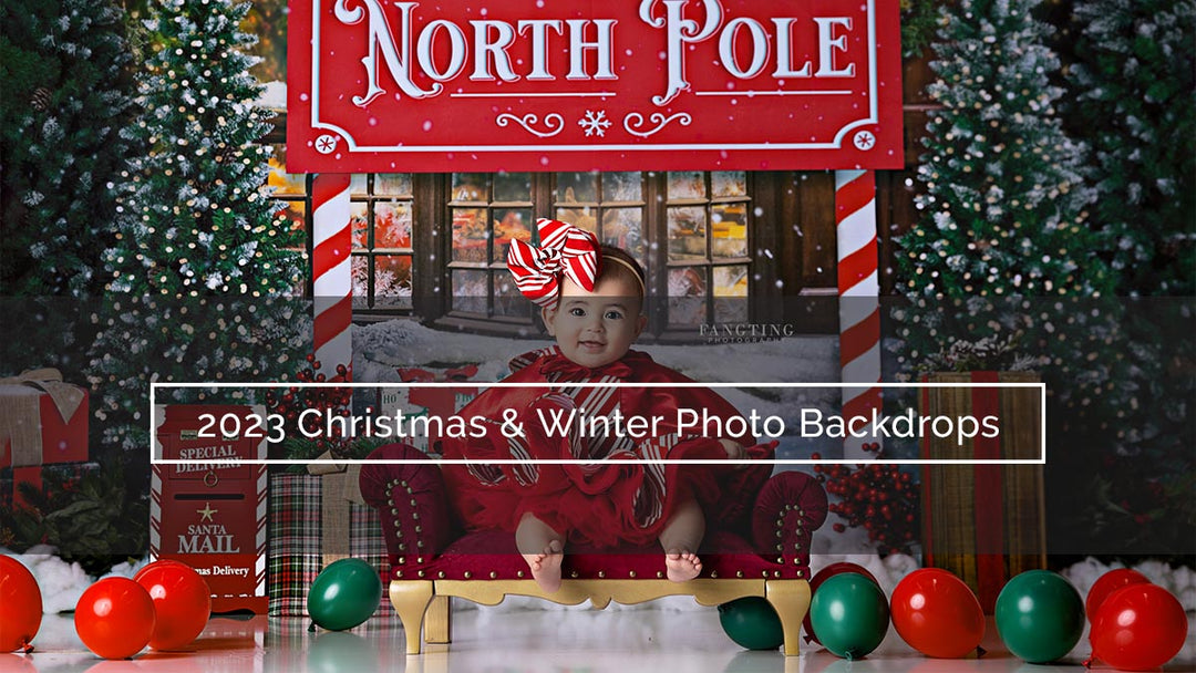 2023 Christmas and Winter Photo Backdrops