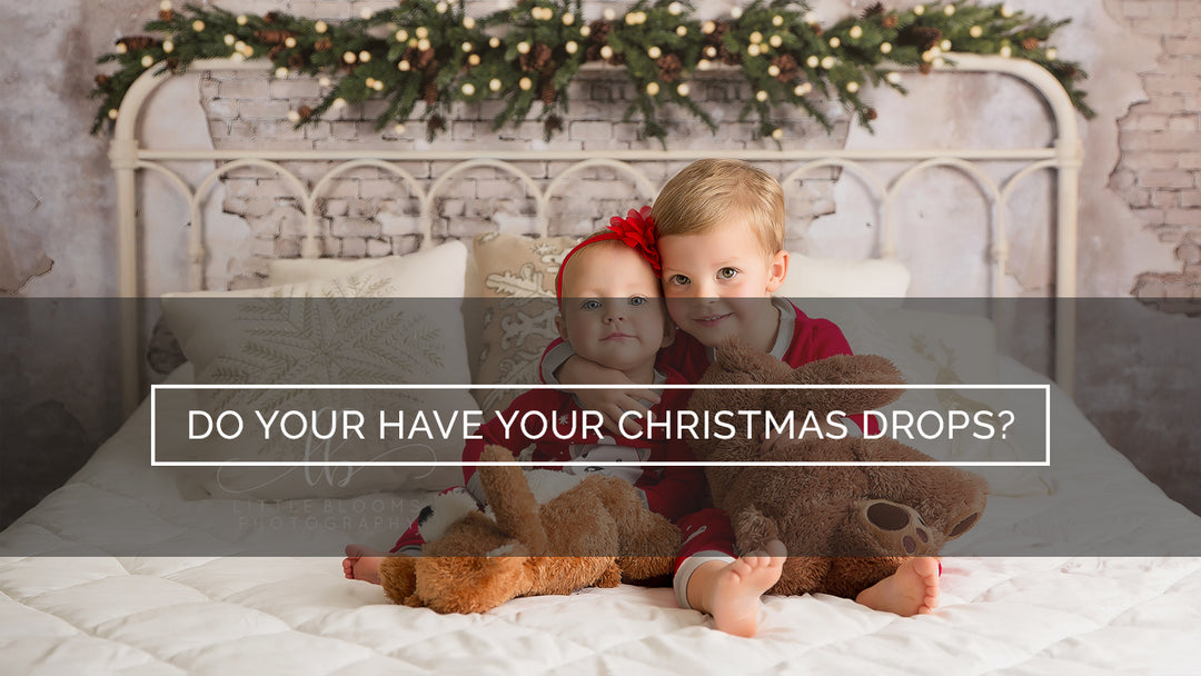 Do You Have Your Christmas Photo Backdrops Yet?