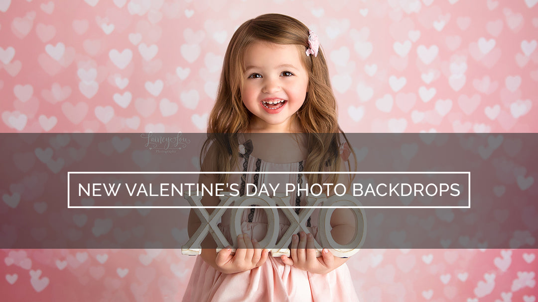 New Valentine's Day Photo Backdrops