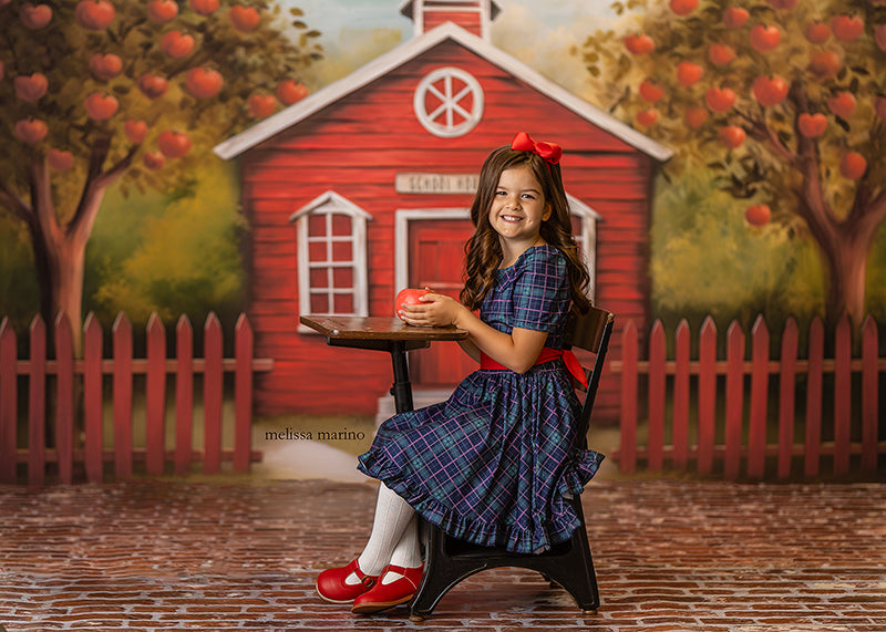 Little Red School House - HSD Photography Backdrops 