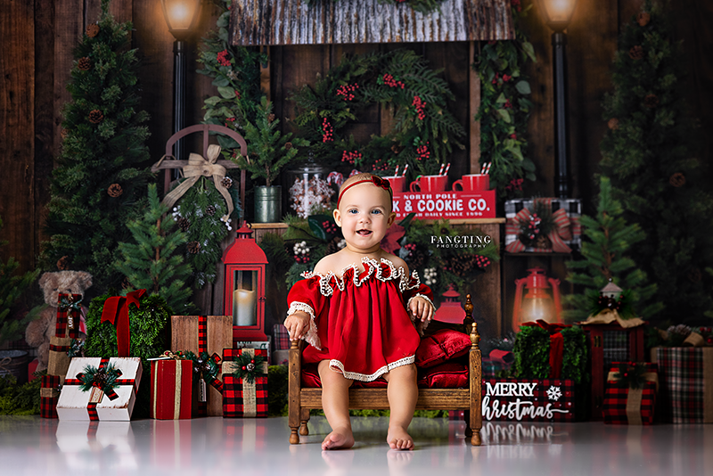 Christmas Stand 10'X8' - RTS - HSD Photography Backdrops 