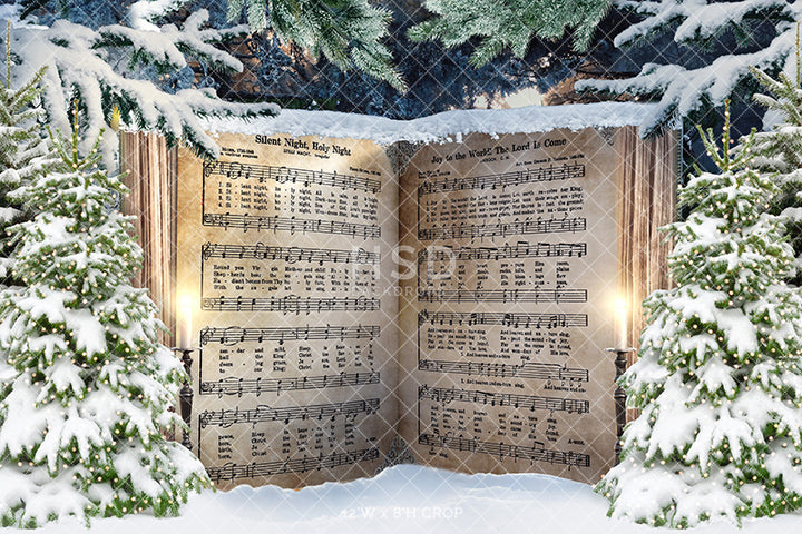 Christmas Carols - HSD Photography Backdrops 