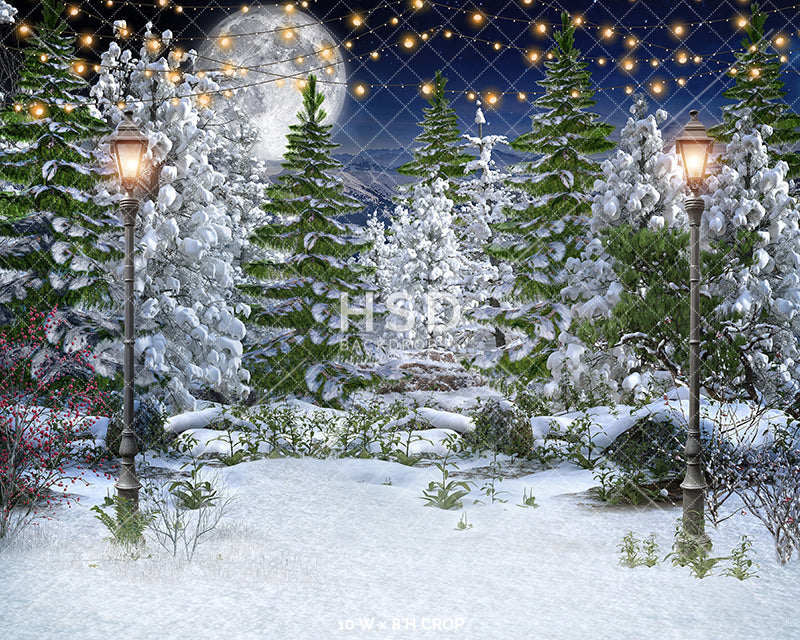 Winter Forest - HSD Photography Backdrops 