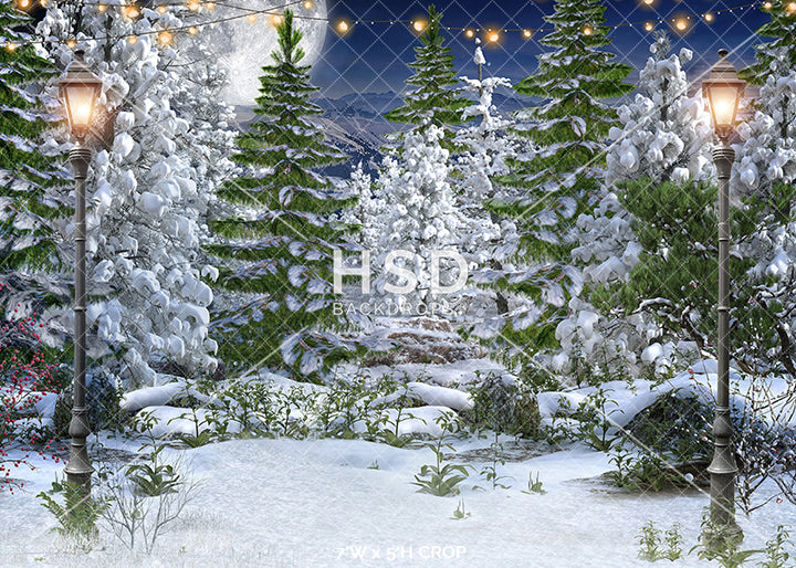 Winter Forest - HSD Photography Backdrops 