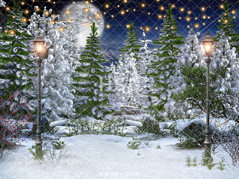 Winter Forest Backdrop with Trees for Winter Wonderland Photos