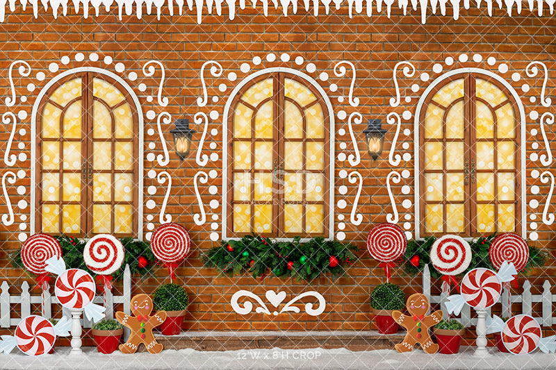 Gingerbread House Wall - HSD Photography Backdrops 