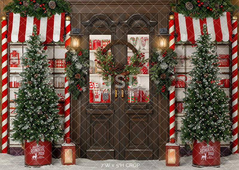 Christmas Candy Shop Photo Backdrop for photoshoot