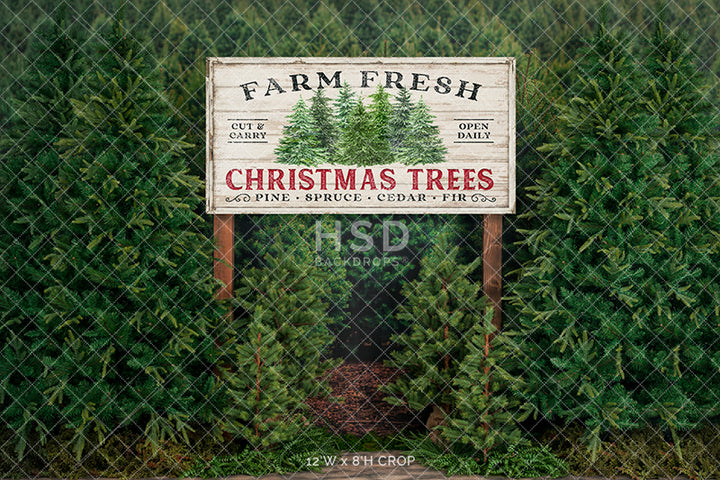 Farm Free Christmas Trees - HSD Photography Backdrops 