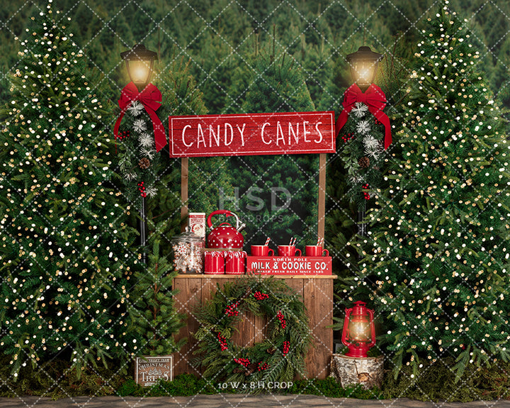 Candy Canes & Hot Cocoa - HSD Photography Backdrops 