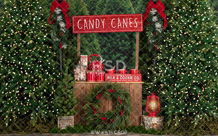 Candy Canes & Hot Cocoa - HSD Photography Backdrops 