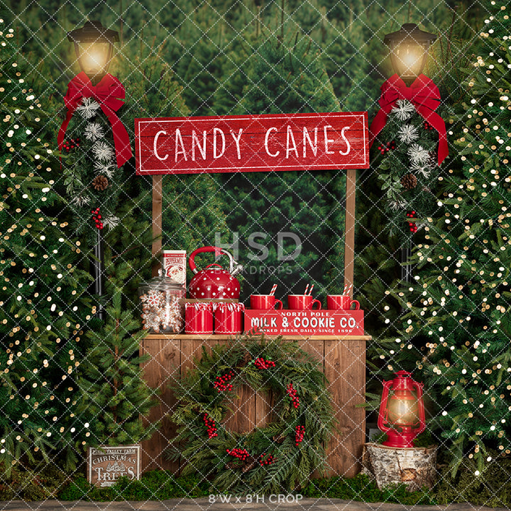 Candy Canes & Hot Cocoa - HSD Photography Backdrops 