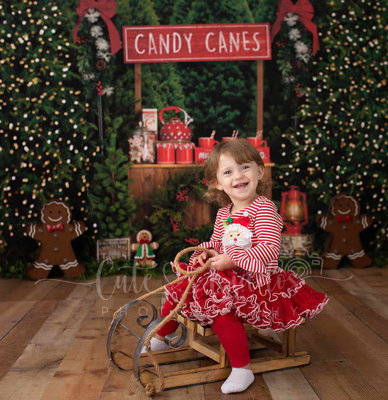 Candy Canes & Hot Cocoa (poly) - HSD Photography Backdrops 