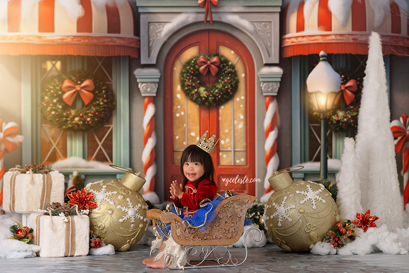 Very Merry Village Store - HSD Photography Backdrops 