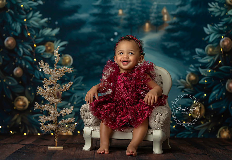 Beyond the Winter Trees - HSD Photography Backdrops 