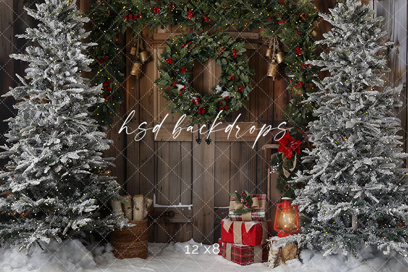 Rustic Winter Door (sweep options) - HSD Photography Backdrops 