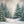 Winter Woodland Pine (sweep options) - HSD Photography Backdrops 