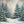 Winter Woodland Pine Photo Backdrop 