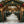 Arched Christmas Tree Farm Entrance Photo Backdrop & Scene Setter