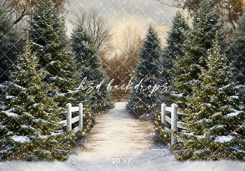 Snowy Winter Trees Pathway (sweep options)