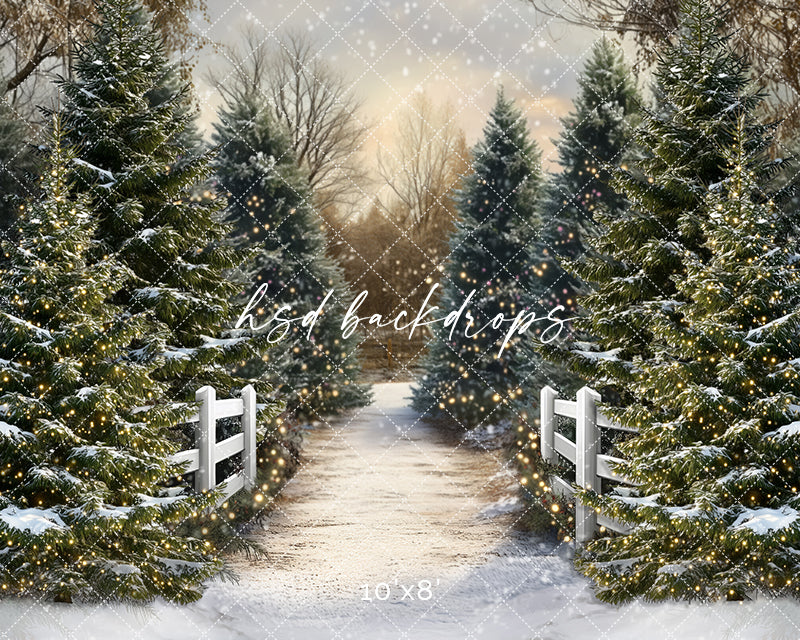 Snowy Winter Trees Pathway (sweep options)