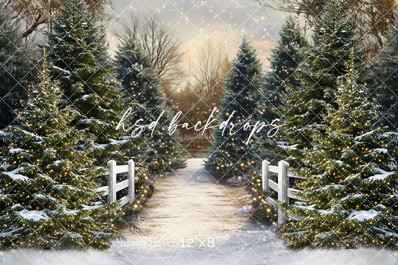 Snowy Winter Trees Pathway (sweep options)