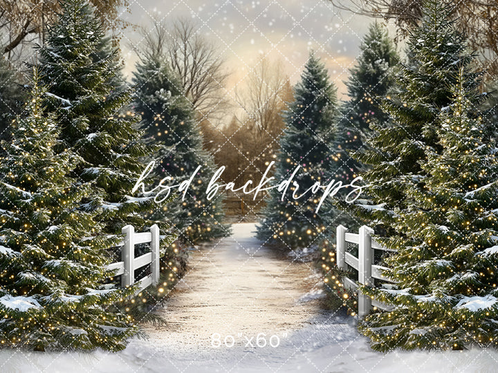 Snowy Winter Trees Pathway Photography Backdrop and Scene Setter