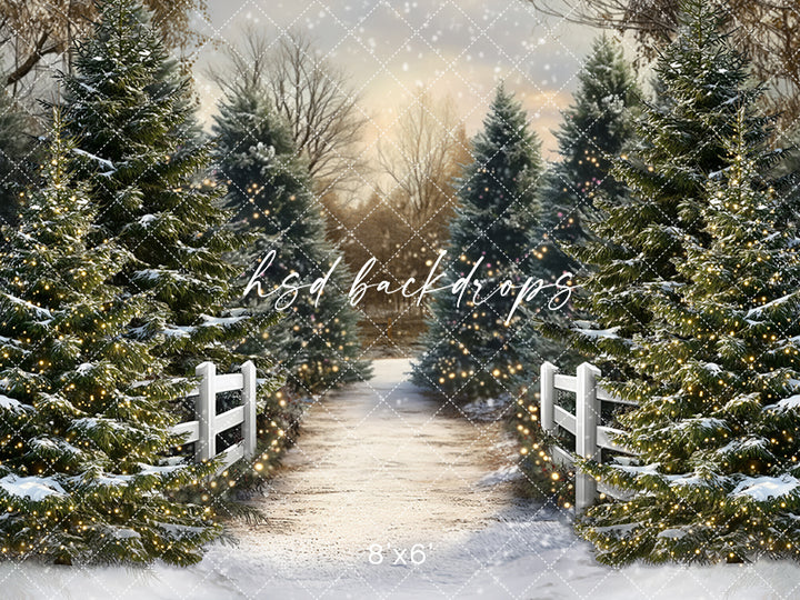 Snowy Winter Trees Pathway (sweep options)