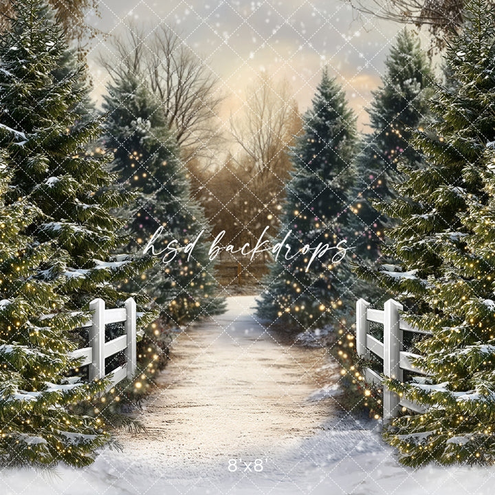 Snowy Winter Trees Pathway (sweep options)