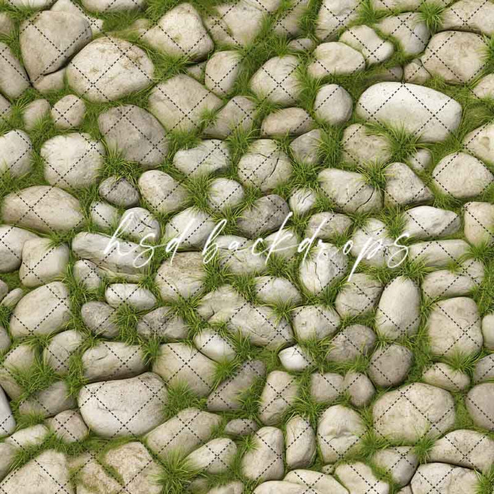 Mossy Stone Floor photography backdrop floor 