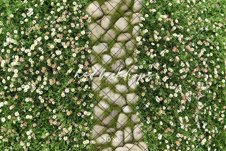 Mossy Stone Walkway - HSD Photography Backdrops 