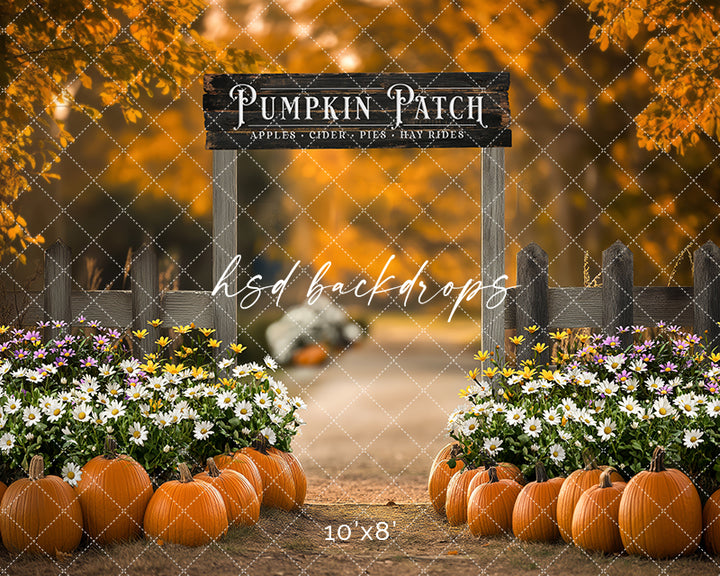 Pumpkin Patch Entrance (sweep options)