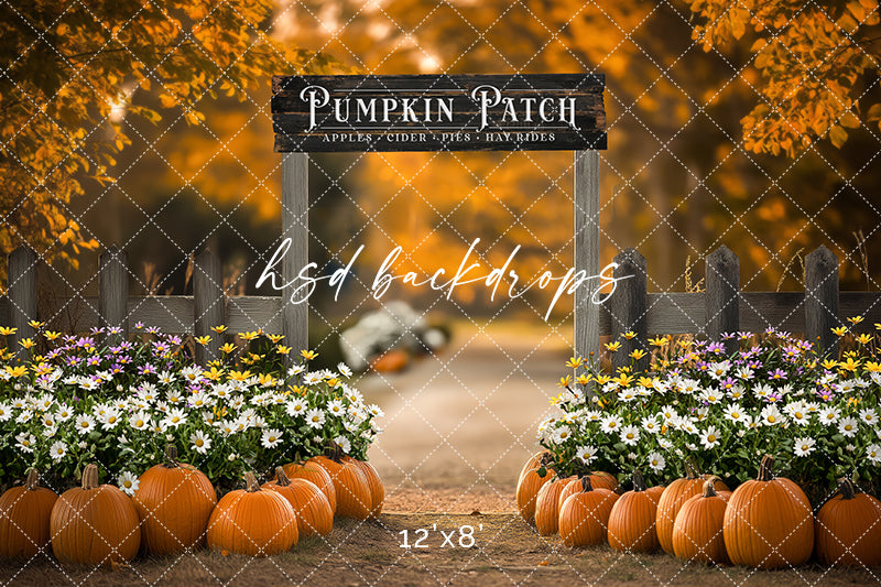 Pumpkin Patch Entrance (sweep options)