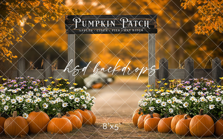 Pumpkin Patch Entrance (sweep options)