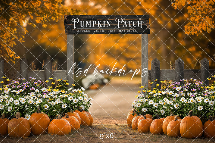 Pumpkin Patch Entrance (sweep options)