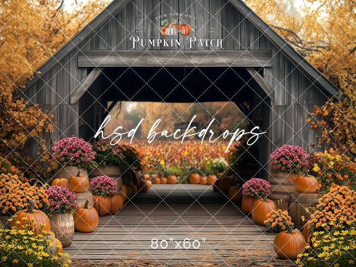 Rustic Barn Fall Pumpkin Patch Photo Backdrop 