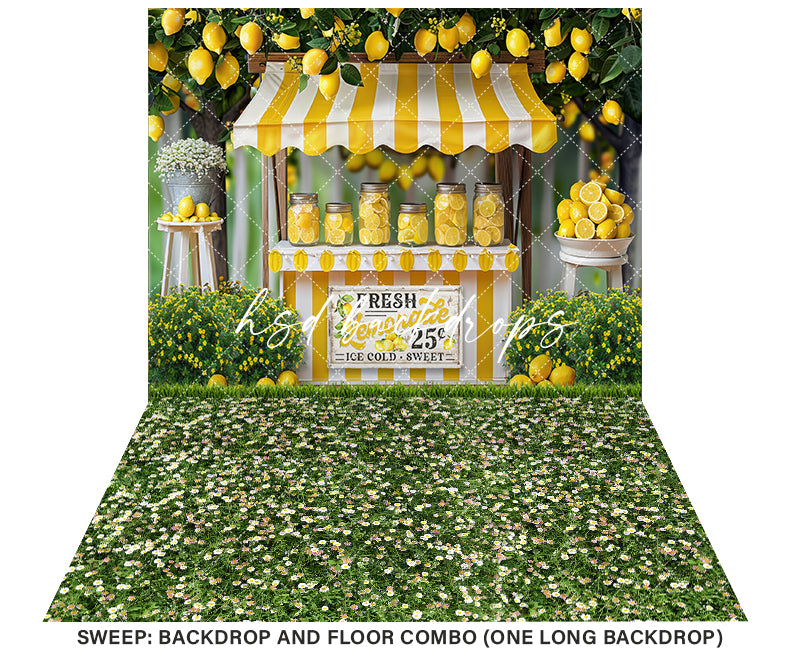 Fresh Lemonade Stand (sweep options) - HSD Photography Backdrops 