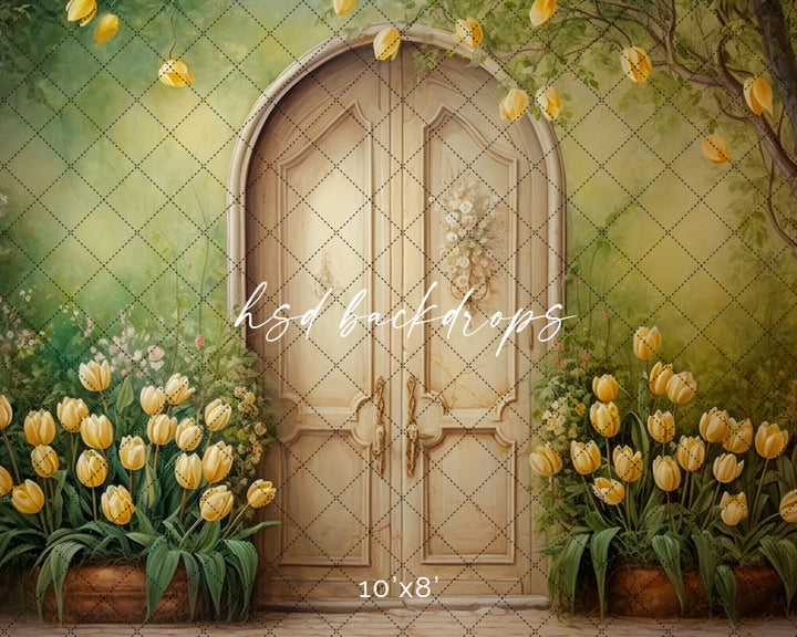 Antique Spring Door (sweep options) - HSD Photography Backdrops 