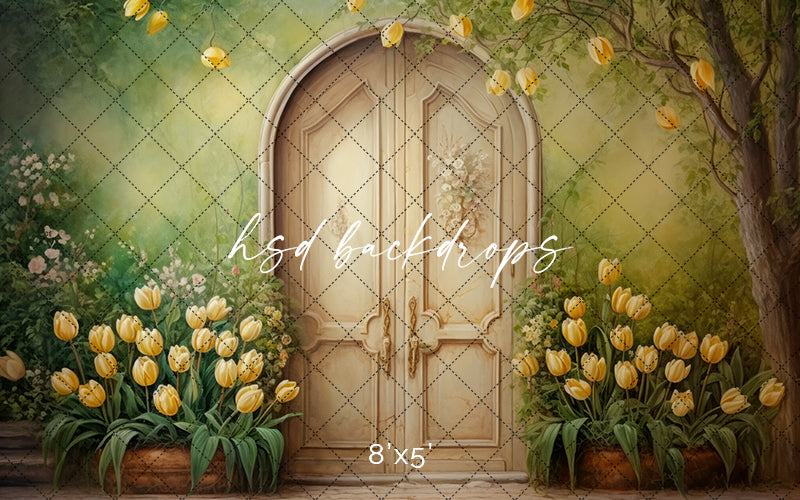 Antique Spring Door (sweep options) - HSD Photography Backdrops 