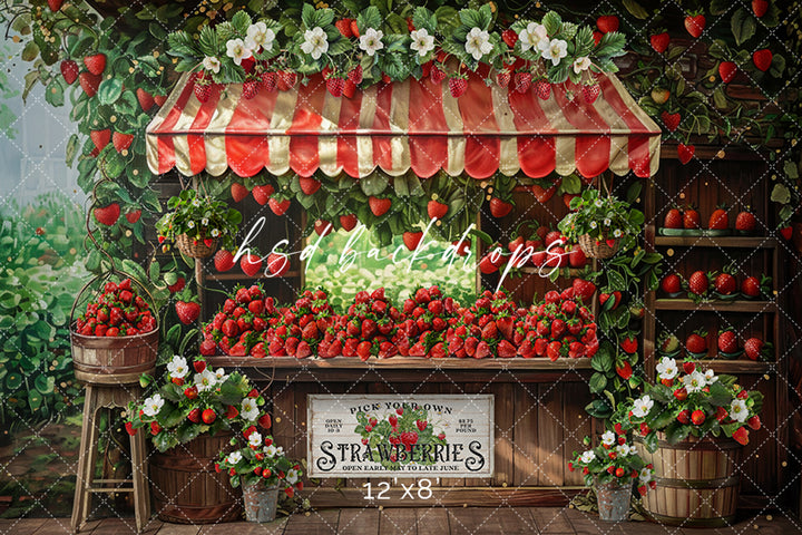 Pick Your Own Strawberries - HSD Photography Backdrops 