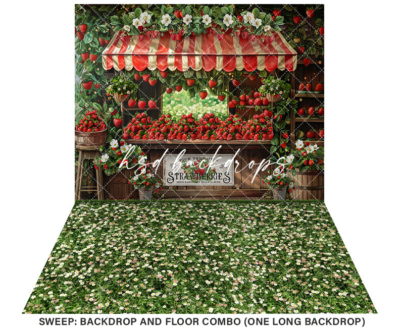 Pick Your Own Strawberries - HSD Photography Backdrops 