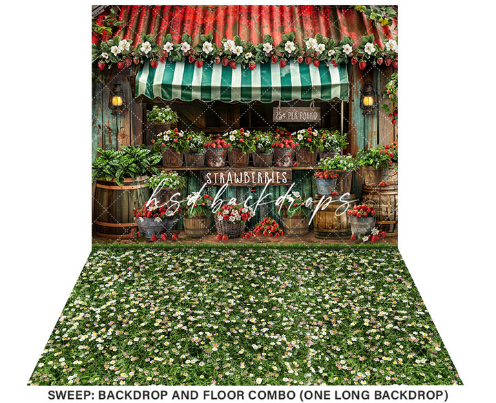 Strawberry Shack - HSD Photography Backdrops 