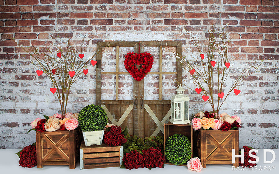 Queen of Hearts (poly) - HSD Photography Backdrops 