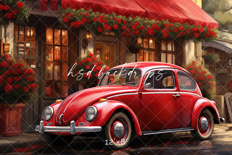 Love Bug - HSD Photography Backdrops 