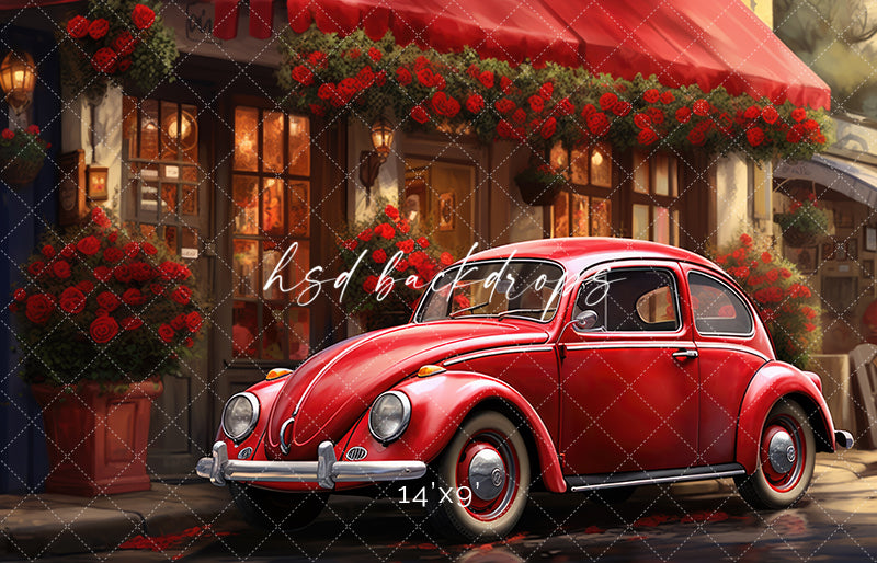 Love Bug - HSD Photography Backdrops 