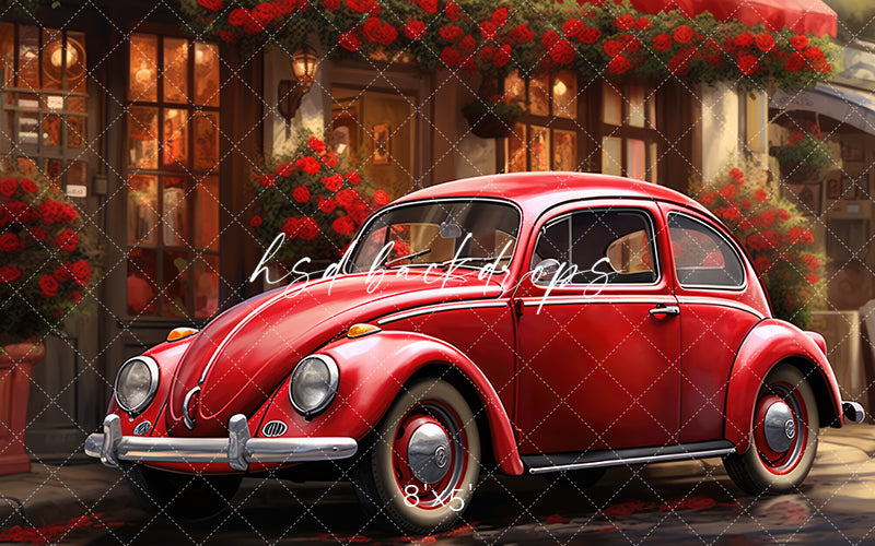 Love Bug - HSD Photography Backdrops 