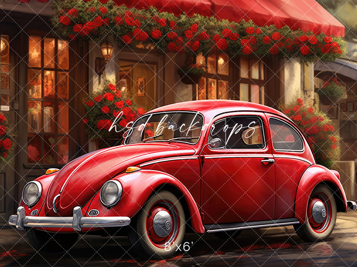 Love Bug - HSD Photography Backdrops 