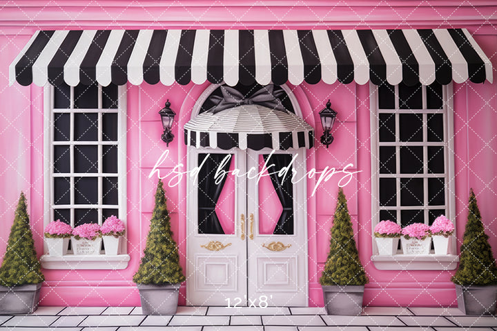 Dolly's Boutique - HSD Photography Backdrops 