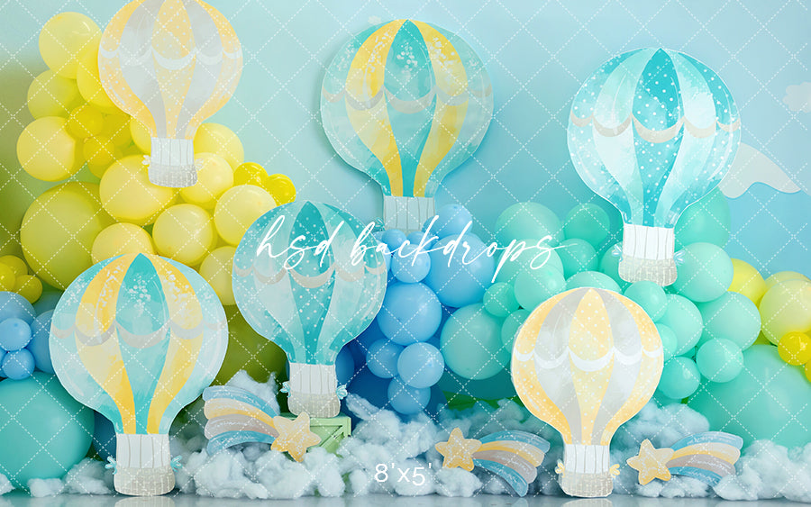 Hot Air Balloon Birthday - HSD Photography Backdrops 